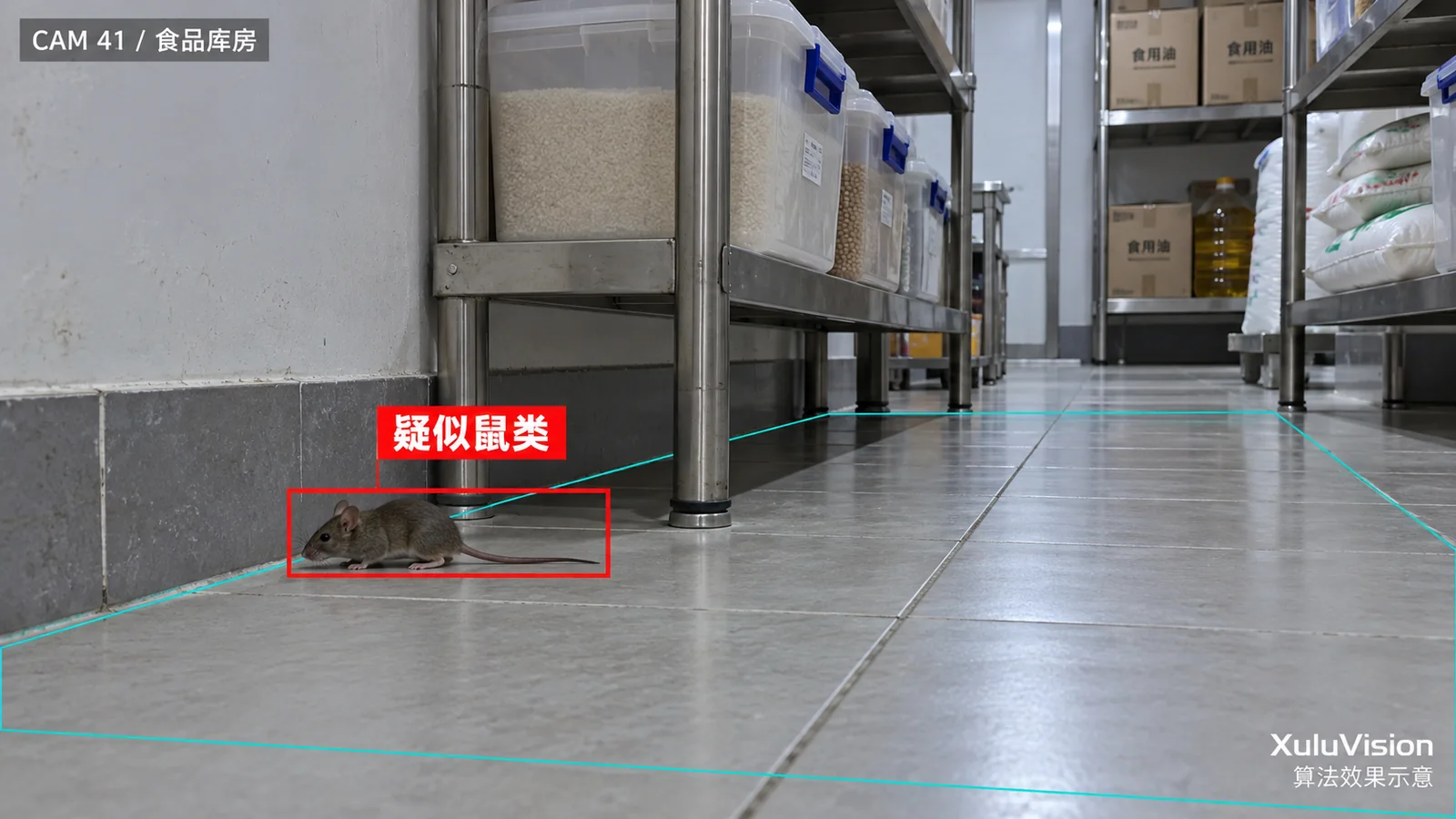 鼠类目标检测监控视角算法效果示意：食品库房低位机位小目标定位